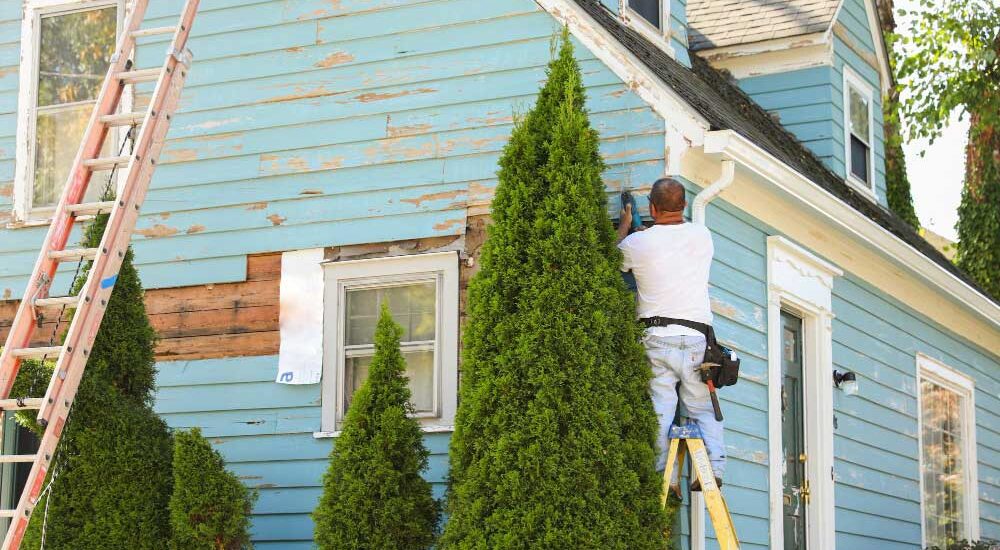 How Much Does It Cost to Paint a House in Auckland