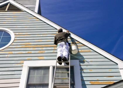 How Often Should You Paint Your House in Auckland