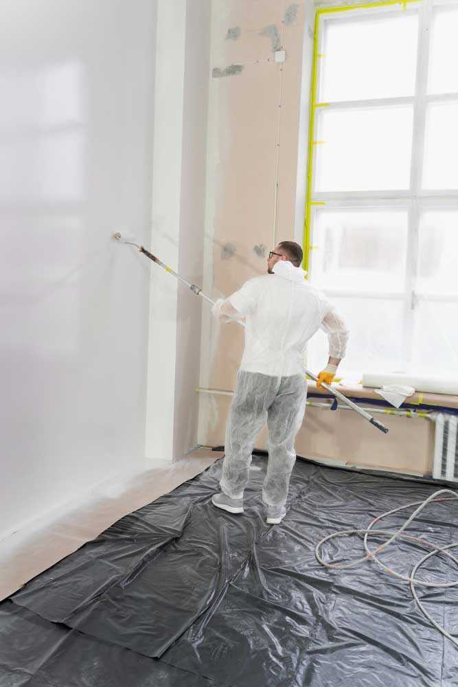 Premium Exterior Painters West Auckland Service